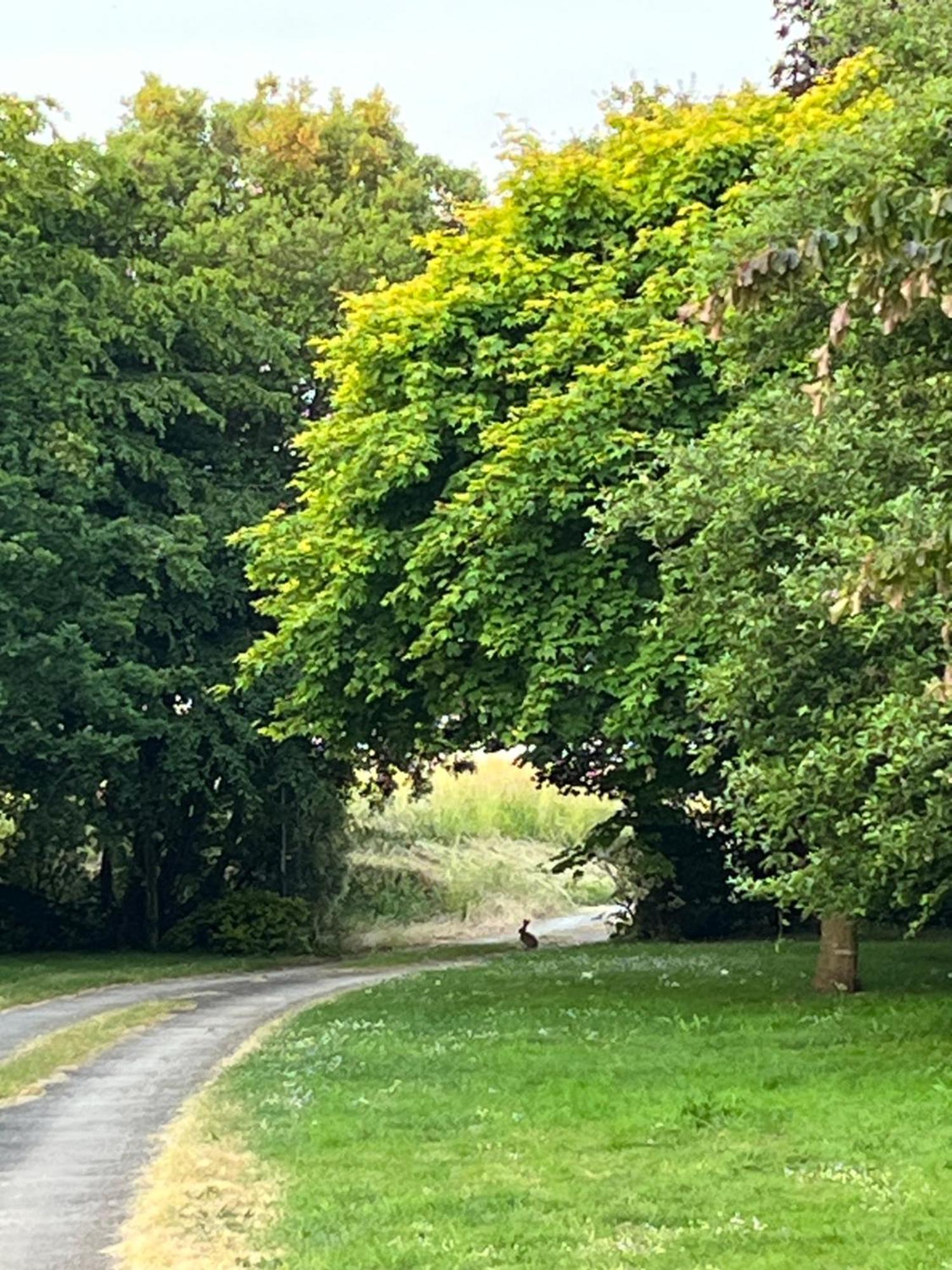 Plouër-sur-Rance Manoir Des Bords De Rance B&B 외부 사진