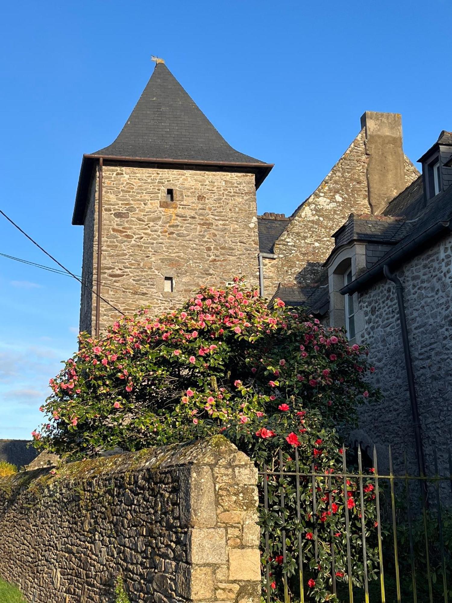 Plouër-sur-Rance Manoir Des Bords De Rance B&B 외부 사진
