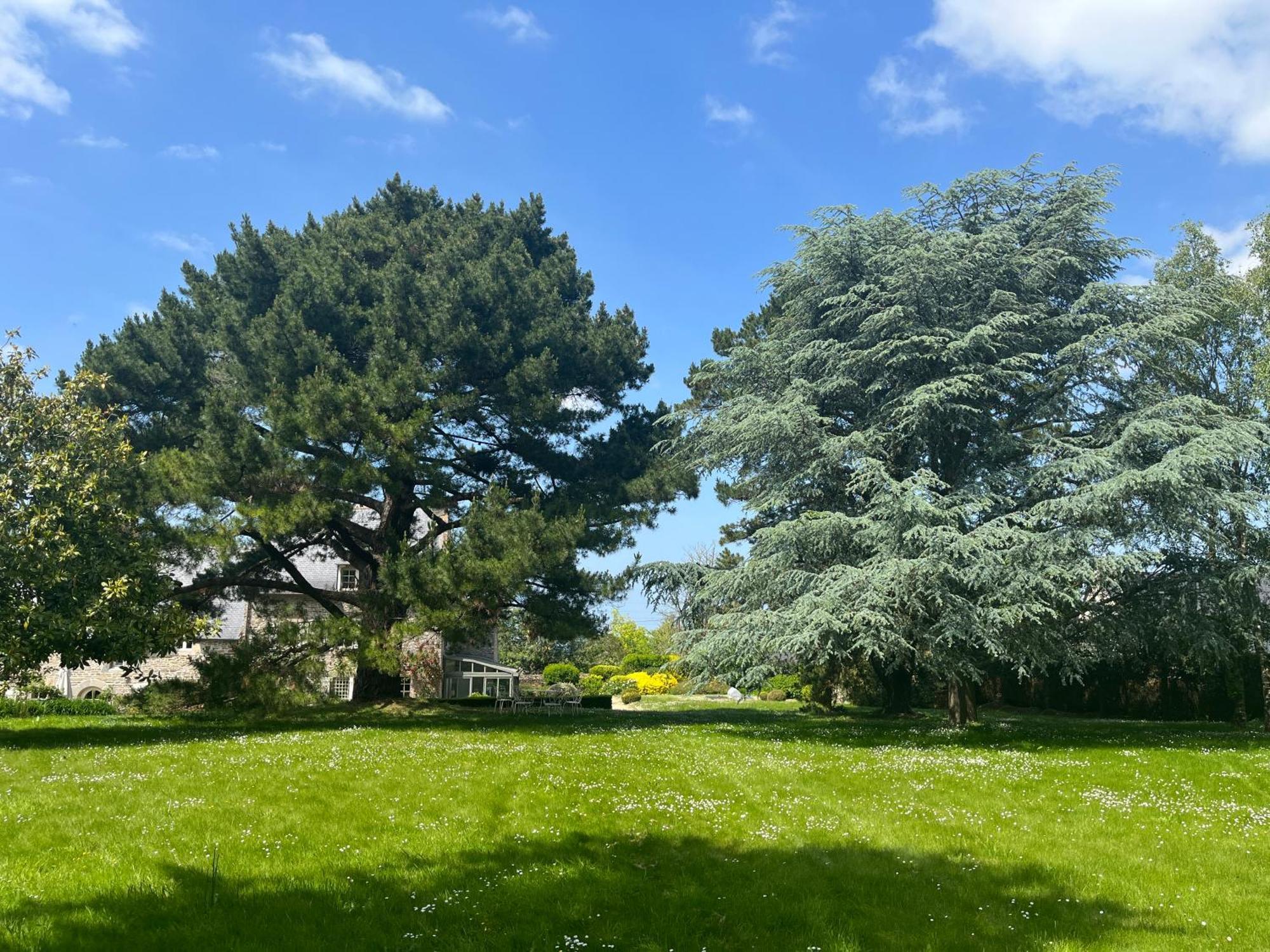 Plouër-sur-Rance Manoir Des Bords De Rance B&B 외부 사진