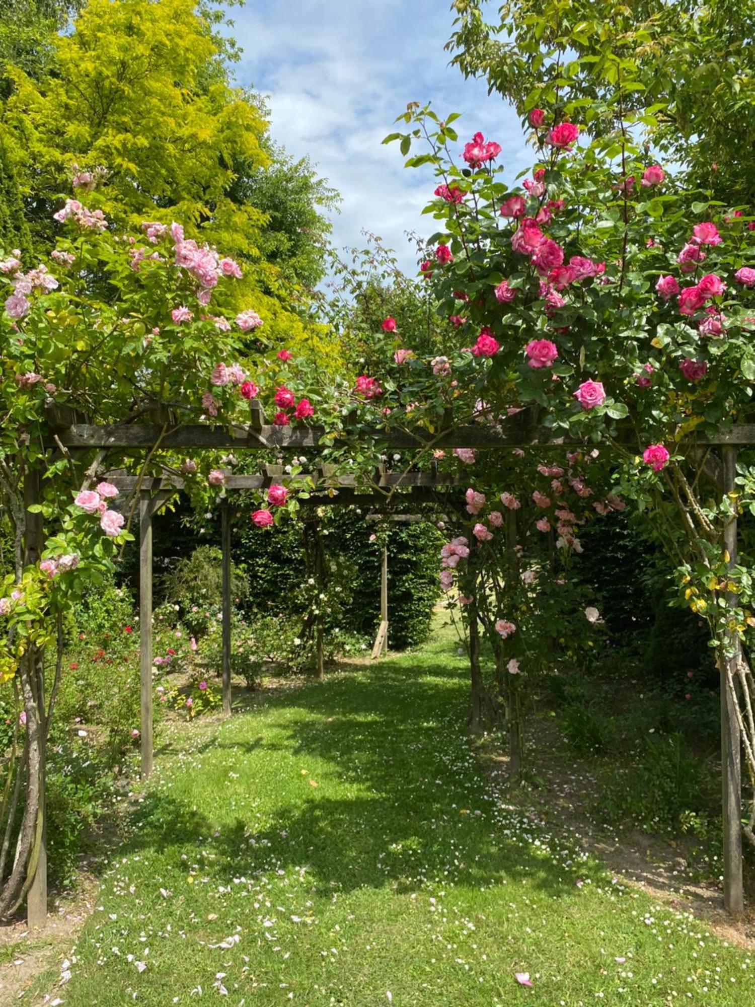 Plouër-sur-Rance Manoir Des Bords De Rance B&B 외부 사진